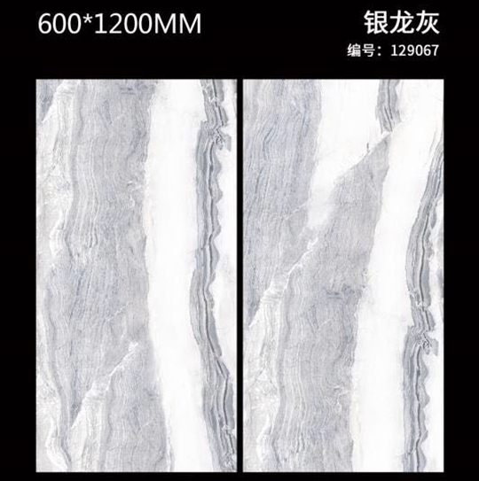 銀龍灰